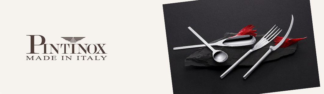 PINTINOX - купить недорого в интернет магазине 220svet.ru