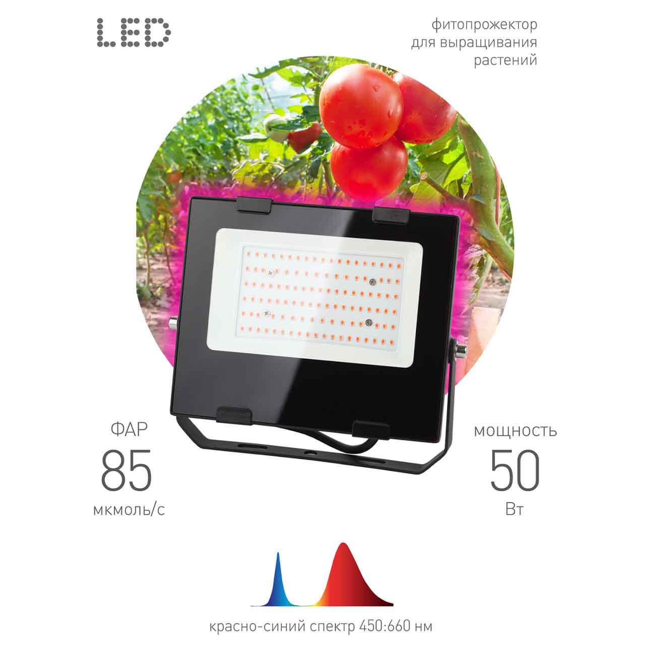 фото прожектор светодиодный эра 50w 1200k fito-50w-rb-led б0046368 | 220svet.ru