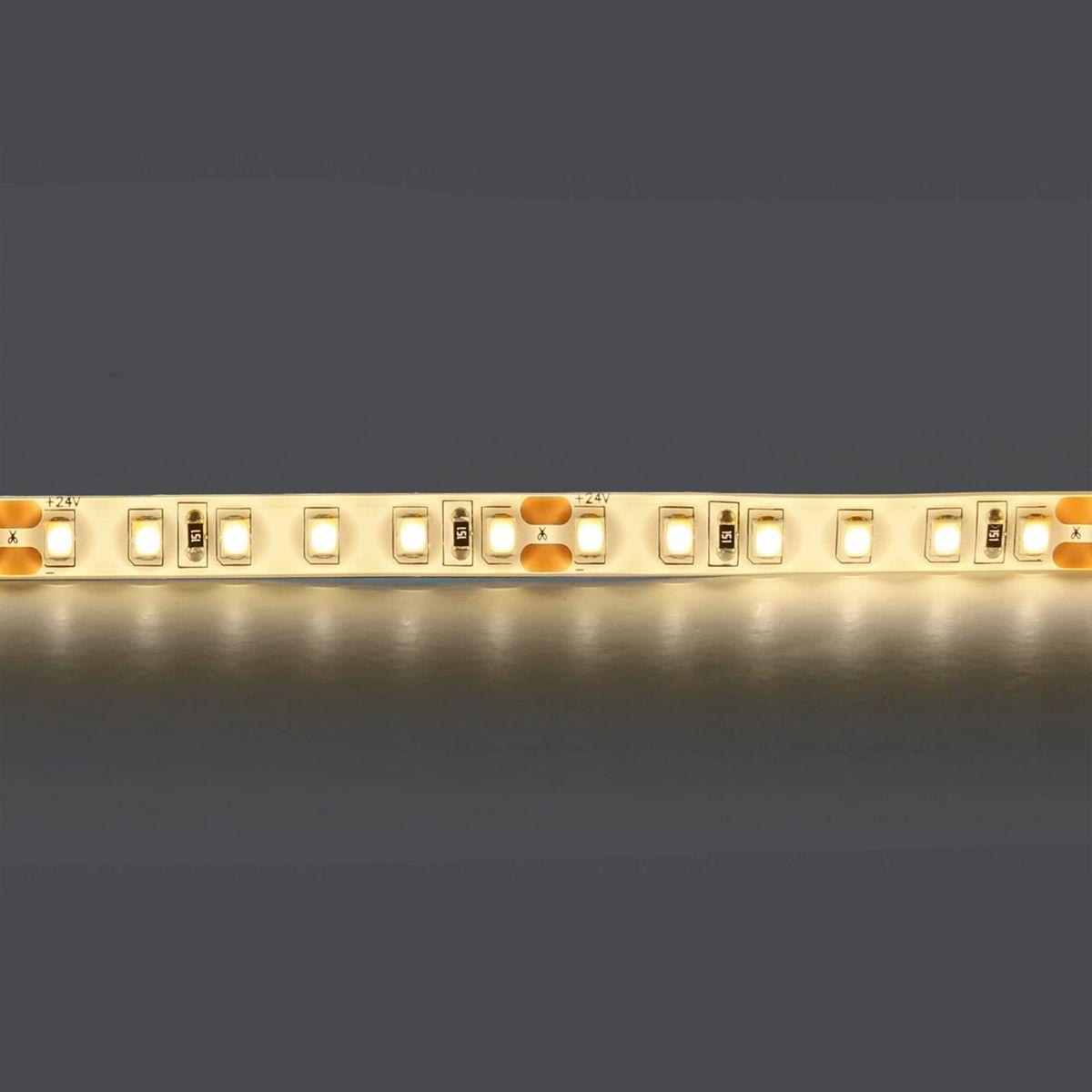 фото светодиодная влагозащищенная лента дневной белый lightstar 12w/m 120led/m 5m 420854 | 220svet.ru
