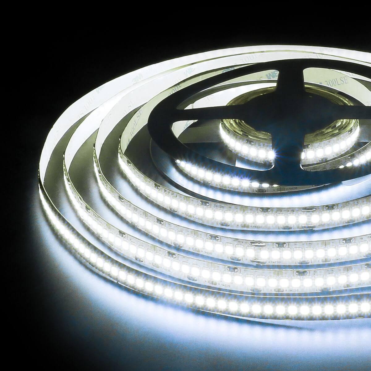 фото светодиодная лента elektrostandard 24w/m 240led/m 2835smd холодный белый 5m a050176 | 220svet.ru