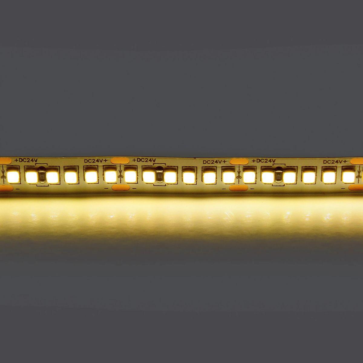 фото светодиодная лента теплый белый lightstar 24w/m 240led/m 5m 421023 | 220svet.ru
