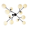 Миниатюра фото потолочная люстра на штанге zortes blo zrs.1178.12 | 220svet.ru