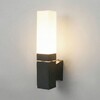 Миниатюра фото уличный настенный светильник со светодиодами 3000k elektrostandard techno 1534 techno led | 220svet.ru