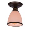 Миниатюра фото потолочный светильник arte lamp bonito a9518pl-1ba | 220svet.ru