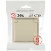 Миниатюра фото розетка эра arktik 16-2103-04 с заземлением 2p+e schuko со шторками с крышкой 16а-250в шампань б0070437 | 220svet.ru