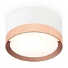 Миниатюра фото комплект накладного светильника ambrella light techno spot xs (c8101, n8126) xs8101006 | 220svet.ru