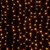 Миниатюра фото светодиодная гирлянда eurosvet 230v 200-002 теплый белый | 220svet.ru