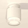 Миниатюра фото комплект накладного светильника ambrella light techno spot xs7510045 swh/fr/cl белый песок/белый матовый/прозрачный (n7925, c7510, n7160) | 220svet.ru