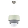 Миниатюра фото подвесной светильник lumion ilaida 8039/1 никель | 220svet.ru