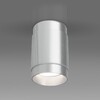 Миниатюра фото потолочный светильник elektrostandard tony dln109 gu10 серебро a047742 | 220svet.ru
