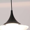 Миниатюра фото подвесной светодиодный светильник favourite wilet 4656-1p | 220svet.ru