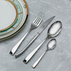 Миниатюра фото набор столовых приборов 16 шт dublin face | 220svet.ru
