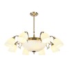 Миниатюра фото потолочная люстра myfar mr1524-11c | 220svet.ru