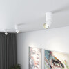 Миниатюра фото потолочный поворотный светодиодный светильник 10w 4000k elektrostandard sens 25042/led | 220svet.ru
