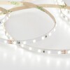 Миниатюра фото светодиодная лента elektrostandard 8w/m 120led/m холодный белый 5m a056427 | 220svet.ru