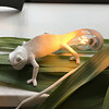 Миниатюра фото настенный светильник chameleon going down usb seletti | 220svet.ru