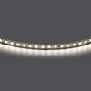 Миниатюра фото светодиодная лента 4000к lightstar 420844 | 220svet.ru