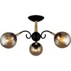 Миниатюра фото потолочная люстра reluce 04886-0.3-03 bk+wood | 220svet.ru