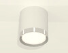Миниатюра фото накладной светильник ambrella light techno spot xs8141003 | 220svet.ru