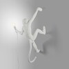 Миниатюра фото настенный светильник monkey lamp outdoor hanging right | 220svet.ru