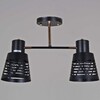Миниатюра фото потолочная люстра на штанге reluce 06074-3.3-02 bk+fg | 220svet.ru